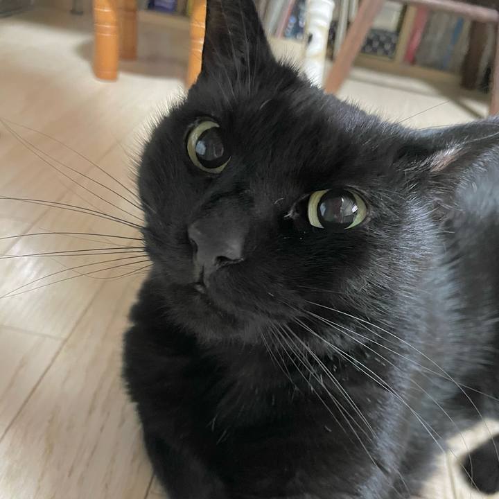 0ecabada d71d 44f6 b477 a86986d00648 1675504887732