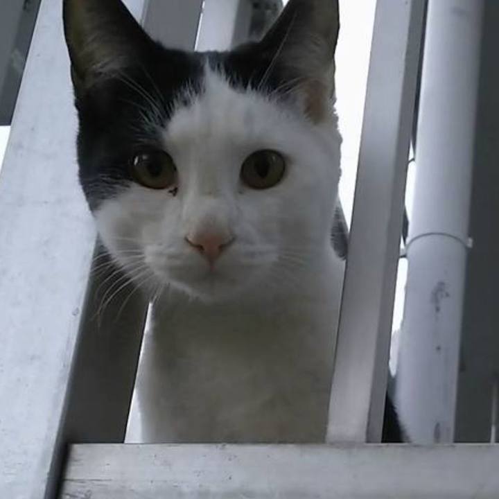 0ecac06c 41a8 4e62 9bf6 b76cd0bdd4be 1554608637234