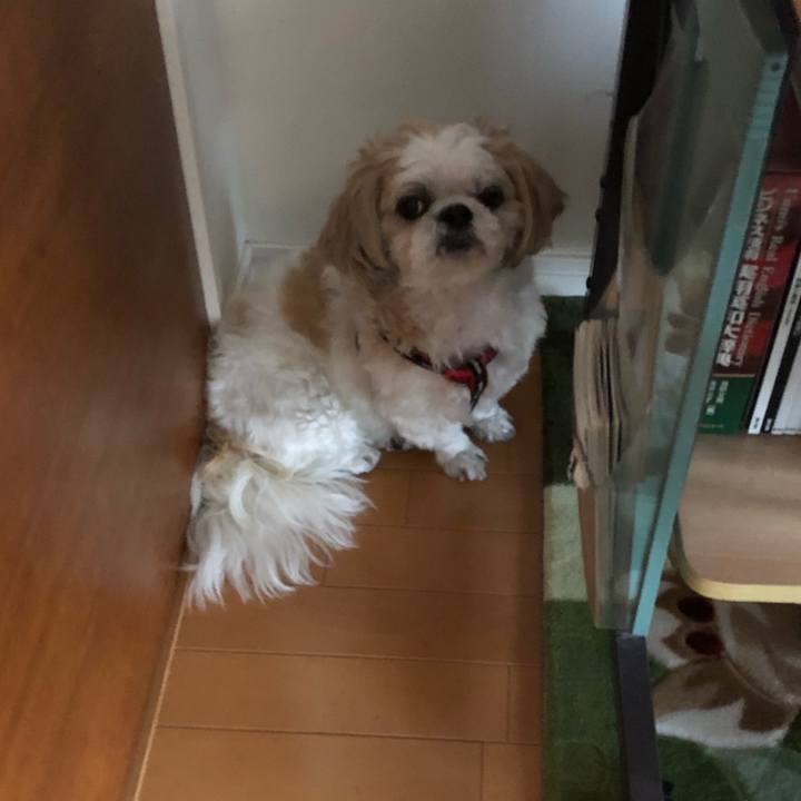 0ecadf62 a095 443d 83ab cecec0a47d00 1560980570307