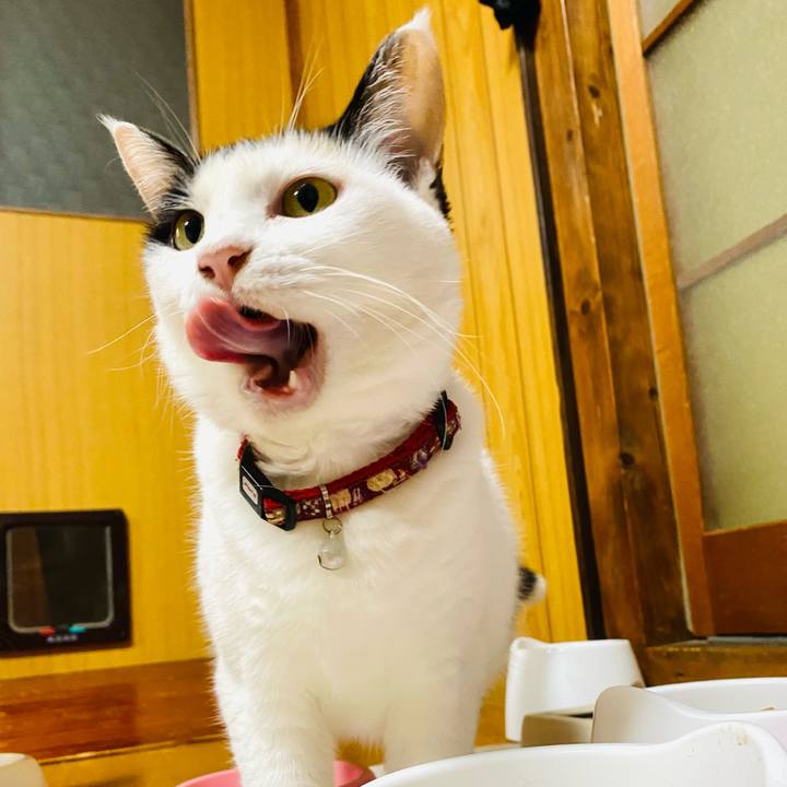 0ecafd36 666f 45e5 a363 efb12deaf6bd 1663238752715