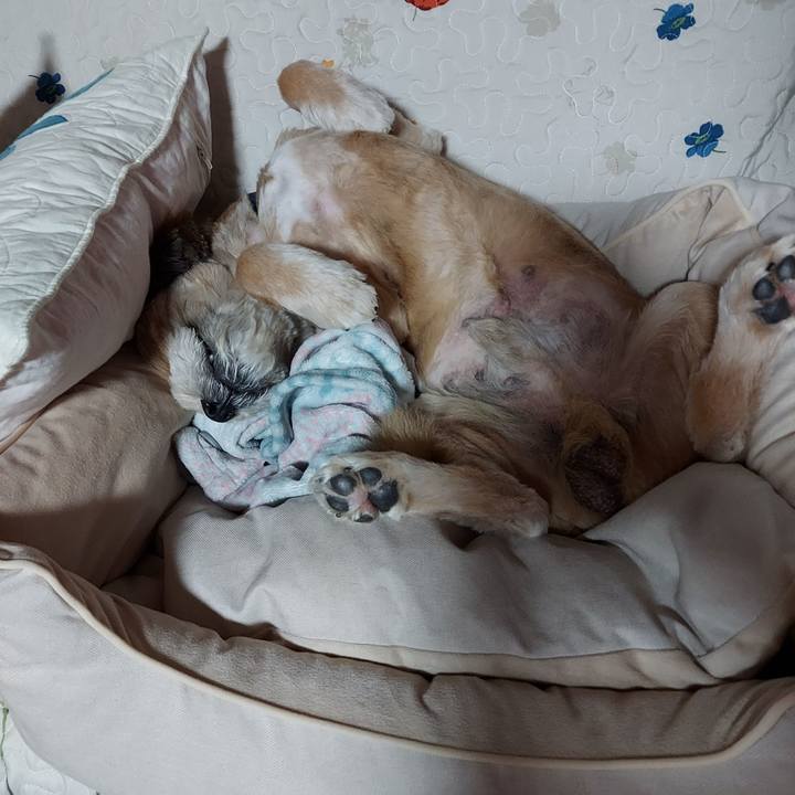 0ecb1161 b594 4982 81e4 46ea17703a0e 1652193123051