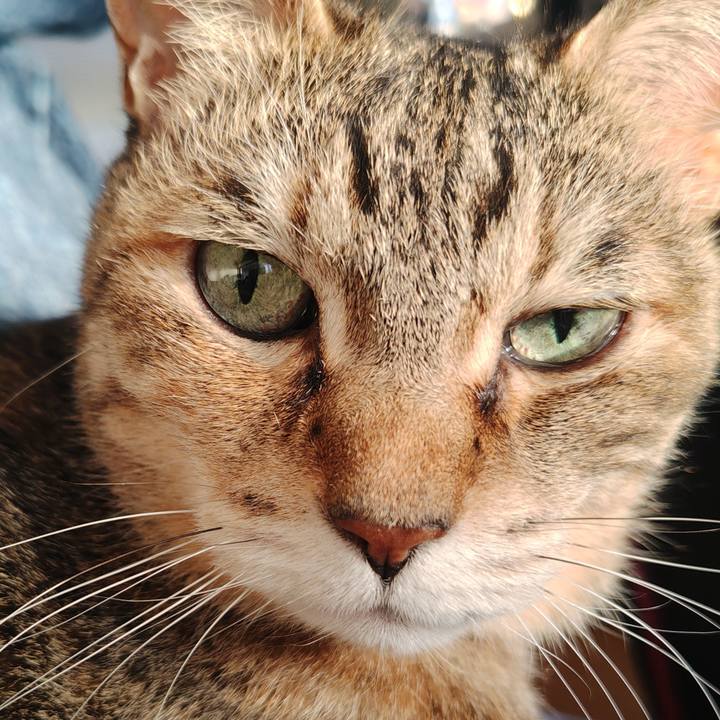 0ecb4f04 10b6 4994 b68d fa1074c85d90 1771659001769