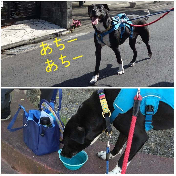 0ecb82f1 f77e 4801 a350 a24e52653fd3 1620436611252