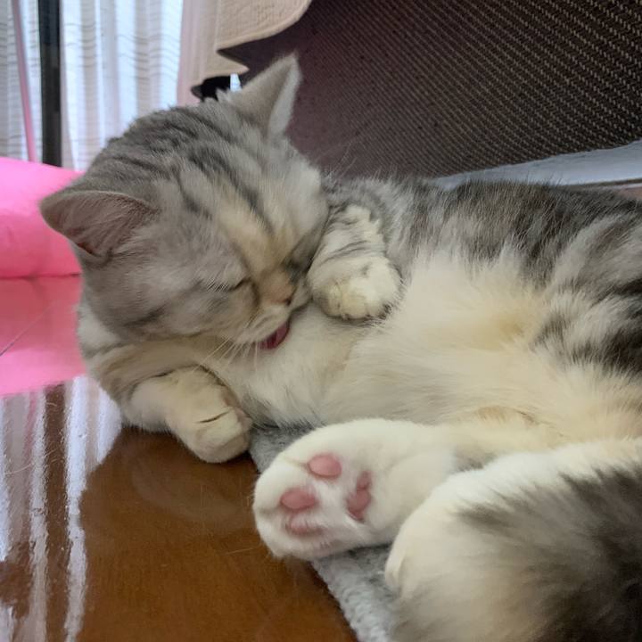 0ecc008f a686 4a44 89fd 415b35e45aeb 1707476063899