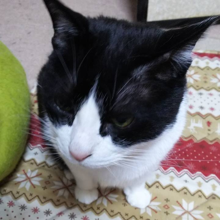 0ecc36f1 04c9 481f 9a5a 5212fb89343f 1554155388816