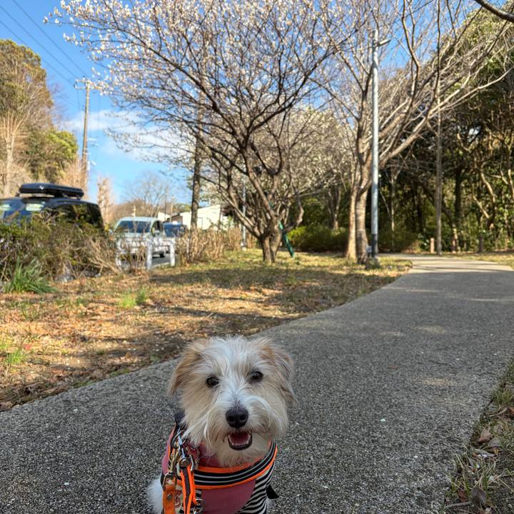 0ecc5503 41bb 4a1c 95b3 d91073d7f3fe 1771753539066