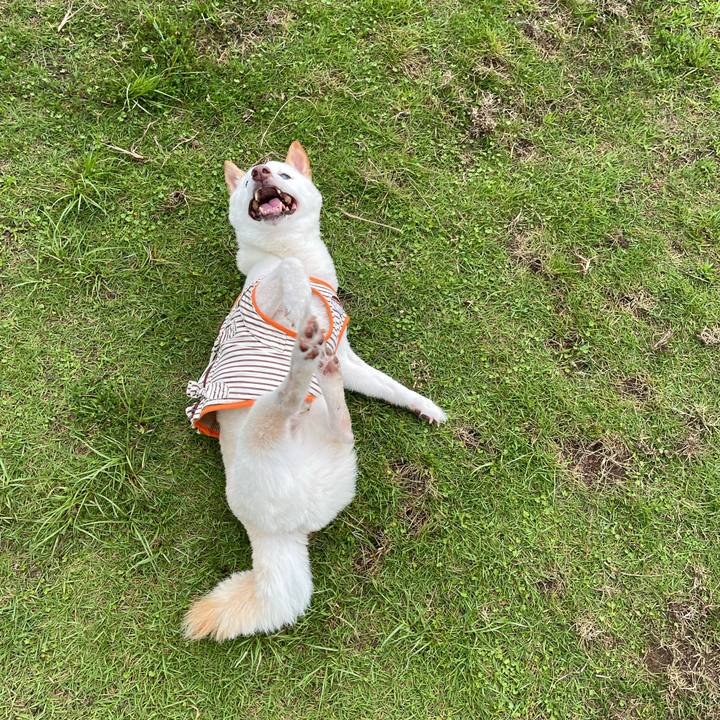 0ecc6814 62b7 478a 8b24 822bfb75b733 1656329305145