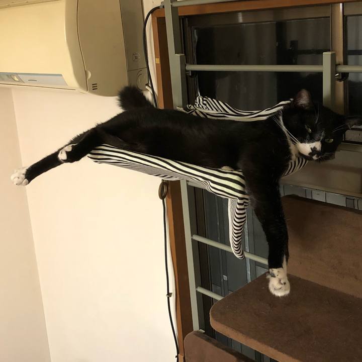 0ecc6f0d 07a2 4a06 bc29 0c39c3fcb8ad 1529129228501