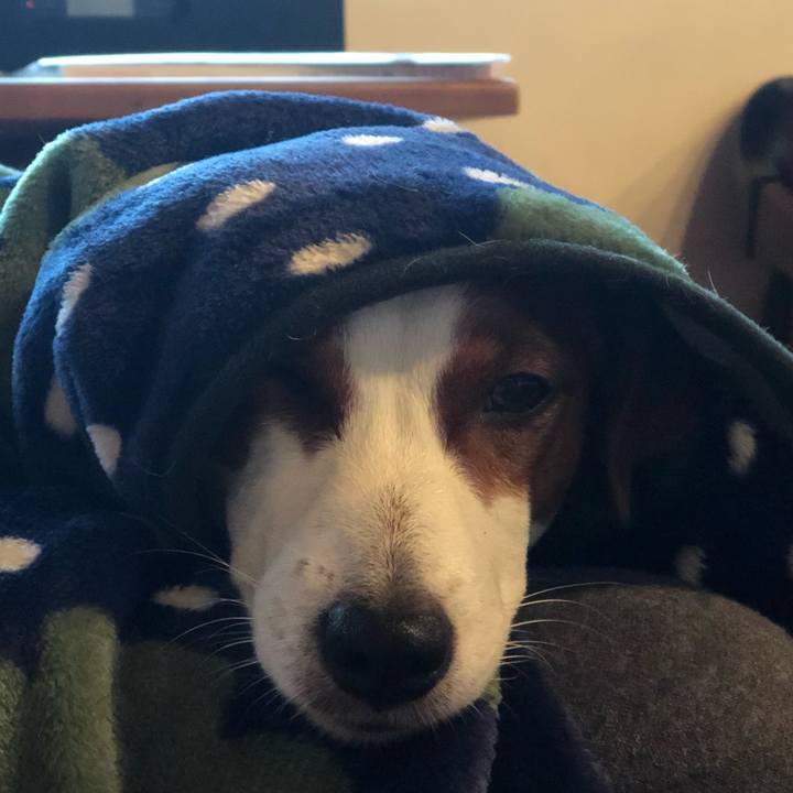 0ecc854d 8df9 4019 b792 9f84ab9a3841 1553306513295