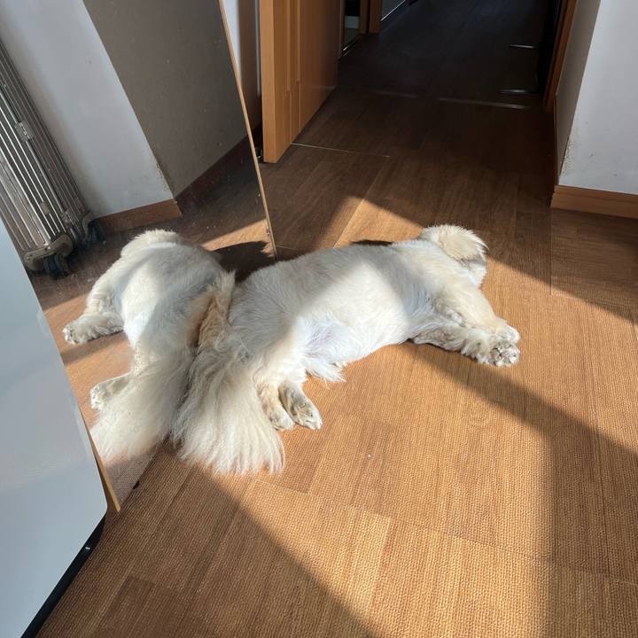 0ecc88fb d17d 4670 9526 2486af07a2ed 1730679424496