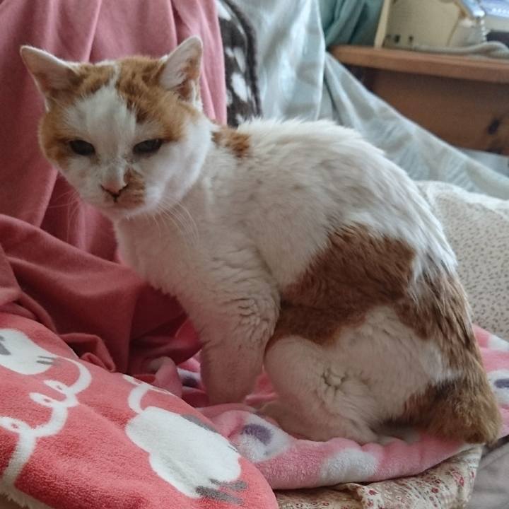 0eccb164 a3b4 4496 a544 36d1abcd2529 1577934893027