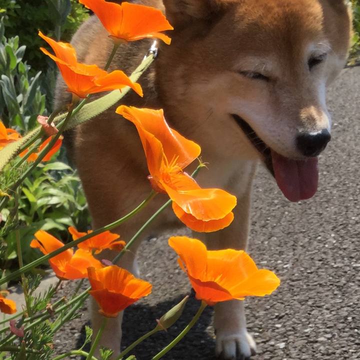 0eccc660 421f 42ee 9b8a 98dad1839d28 1588130517436