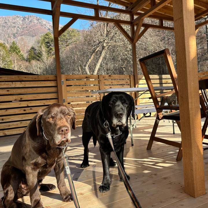 0ecceeef 739c 46e9 862e 20872f6145bd 1774183656262