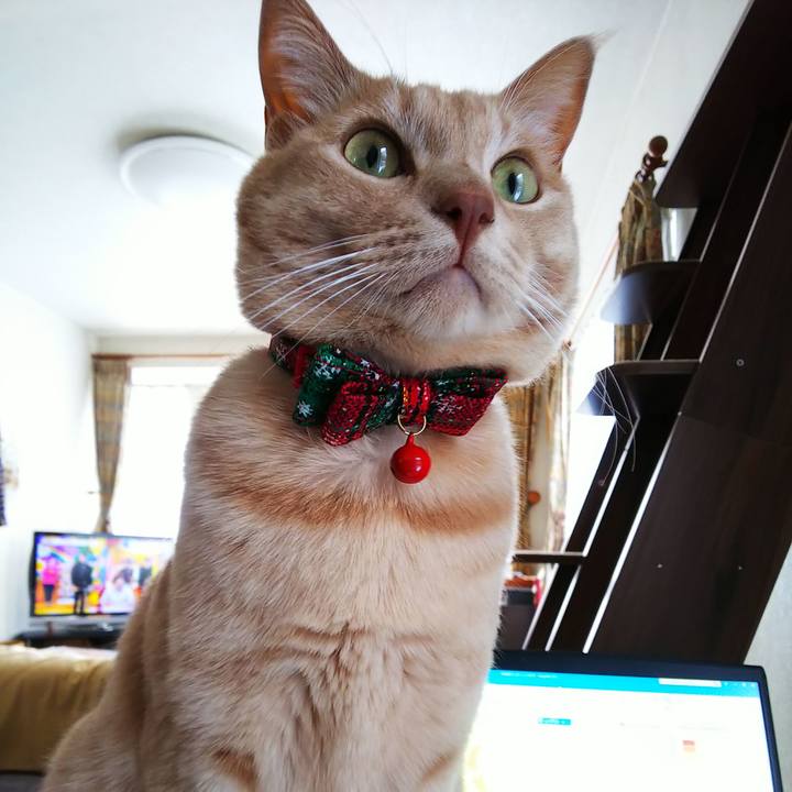 0eccefb7 d60e 46c7 ac65 ffb7167e174e 1608870617690