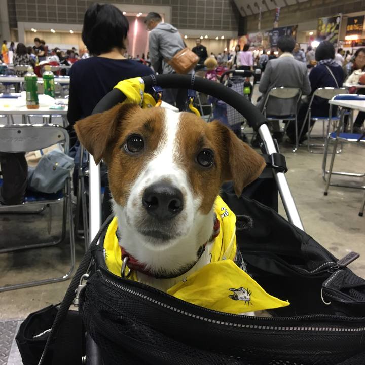 0eccfef8 e771 4c37 9eee 30514e494b2e 1522548842120