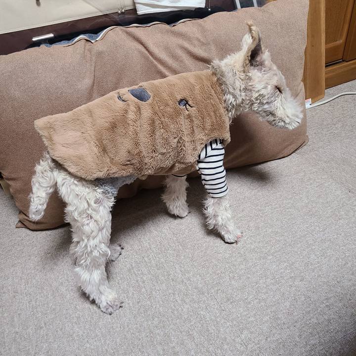 0ecd0064 8e2d 4333 b8d7 16ca43d117fd 1706655183182