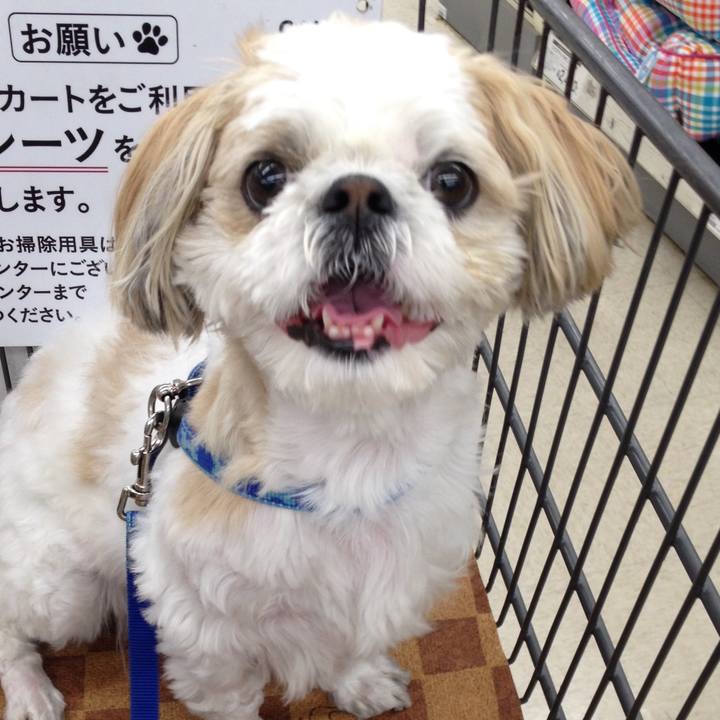 0ecd16c0 6d96 4412 8a92 a9d03ee3ba21 1565588700503