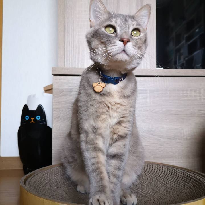 0ecd5019 3371 4e17 9af4 13bf6d04a14b 1584345635553