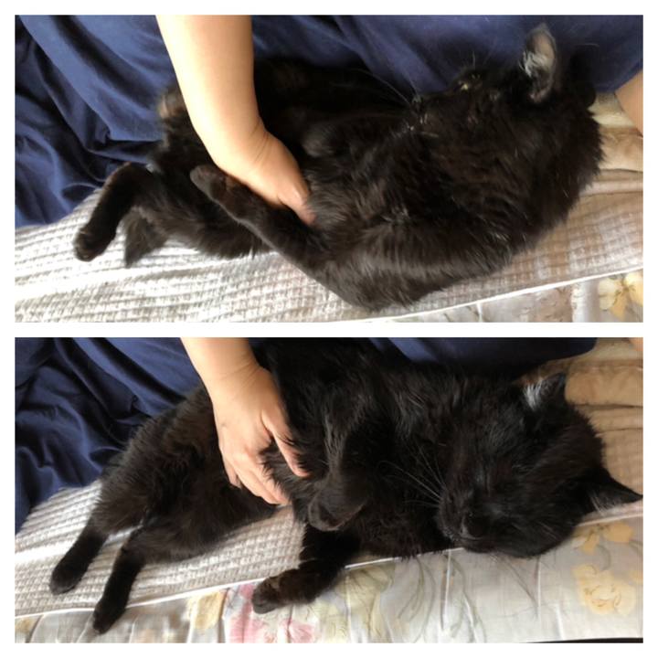 0ecd714b 6a72 4e3e bb80 628b23f57046 1623965506013