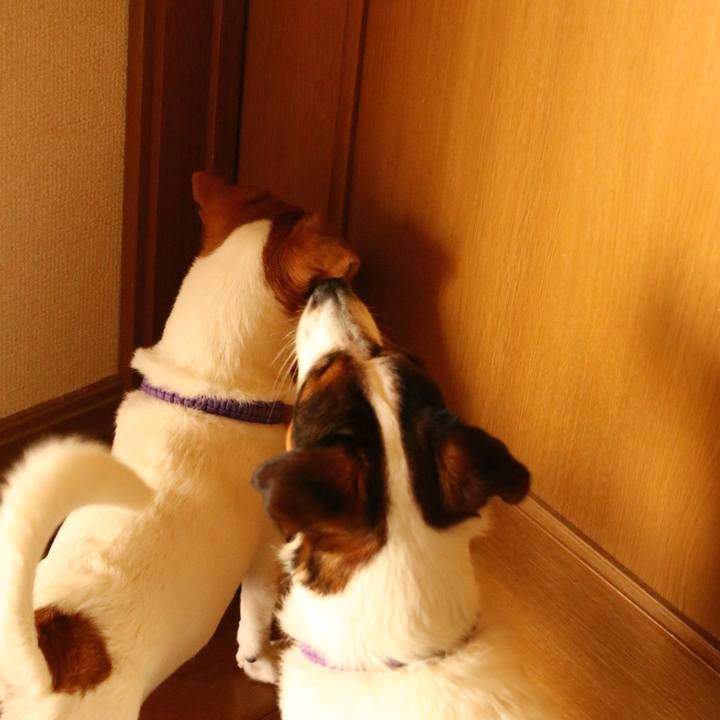 0ecdb8a6 6cd2 4e0a bf99 607fcfb32741 1587551184716