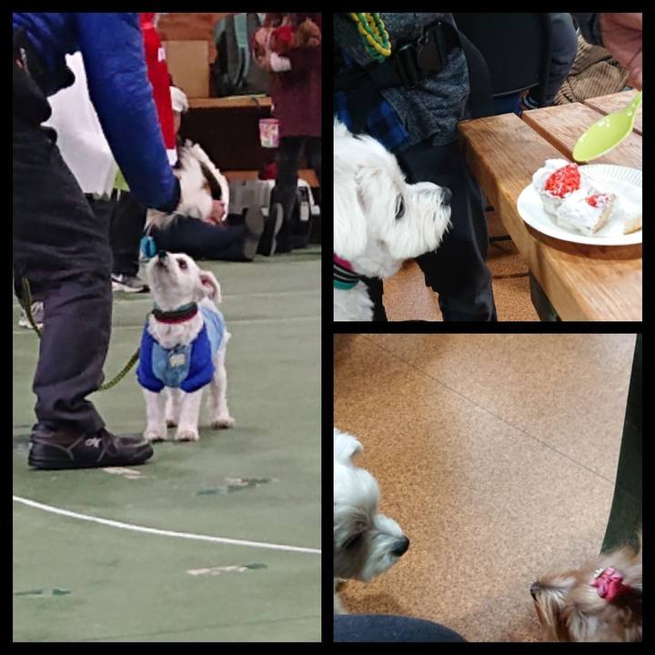 0ecdd23b 8a0c 45b1 95c3 44c27feda64e 1545480198206