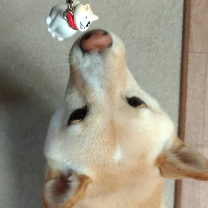 0ecdf638 e8fb 44b3 b968 8d748a6d1534 1538651789348