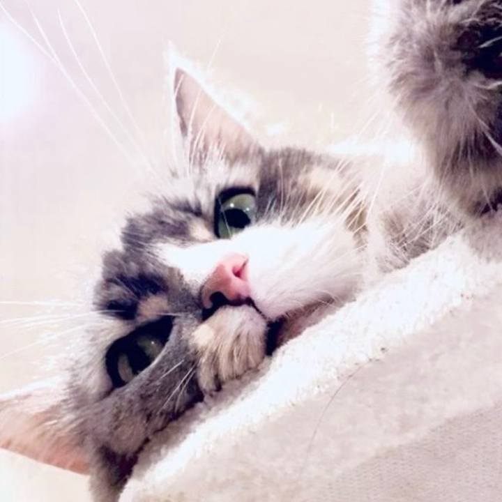 0ece2830 7c97 4b4e 9a80 57ea8b7a666b 1758208589621