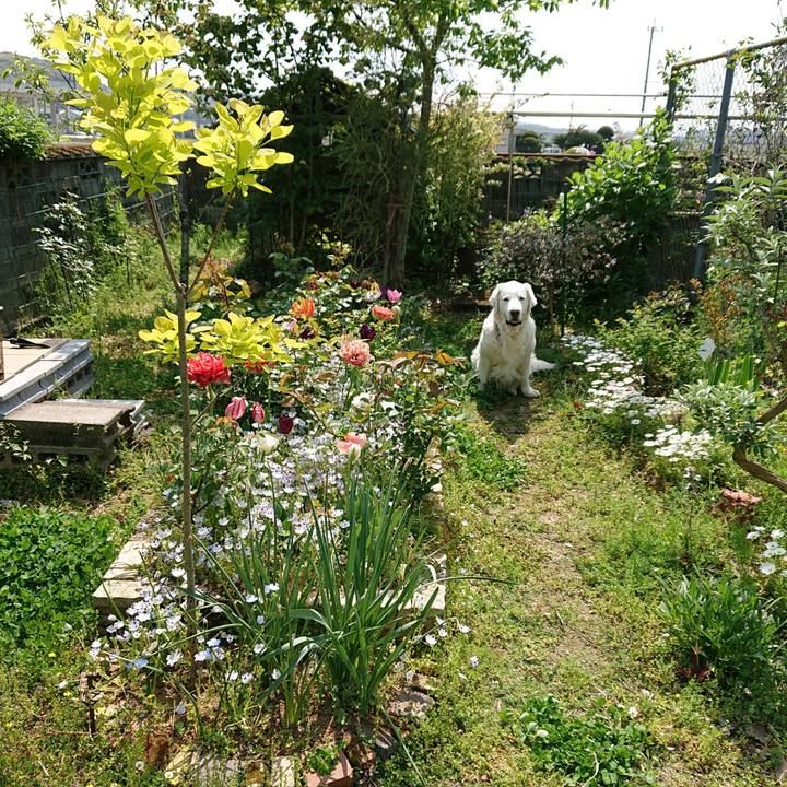 0ece8668 9ef5 451d 875f 48accece9789 1555730395559