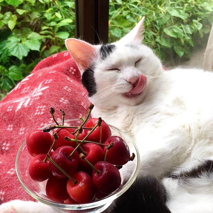 0ece9034 666a 4c20 a591 78cd708a5dda 1594190736403