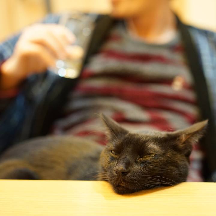 0ece9526 9f8a 41ac a910 5c5fe75fff57 1550803921285