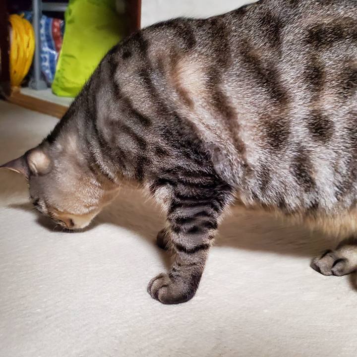 0ecefc2a 4512 44fc b717 6d7f71e5aedf 1706630032003