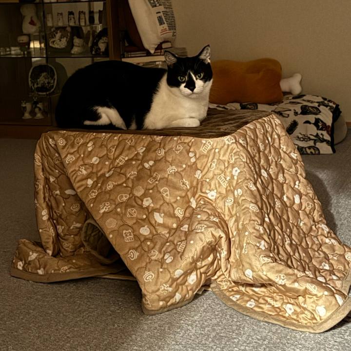 0ecf1093 0801 4bd2 b7a9 b4ee69533662 1763295790689