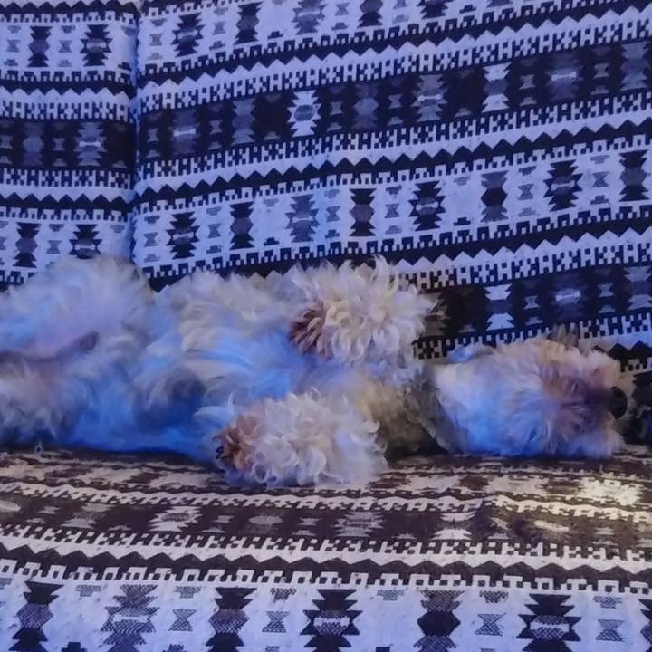 0ecf1603 63f3 418b 96d5 5fb4e0742aa2 1547471651893