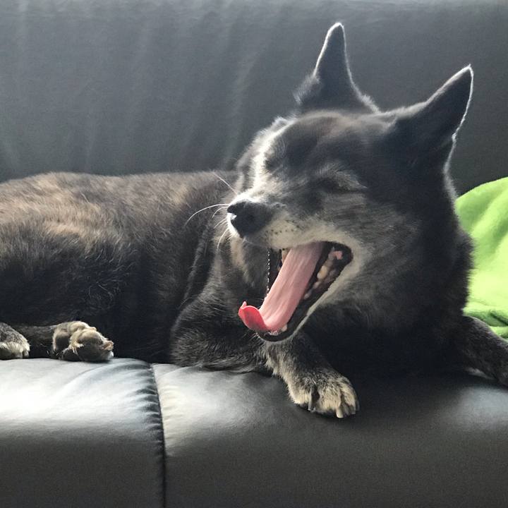 0ecf1f5a 1512 44ca 9e9e 0b79817d1d90 1560910850820