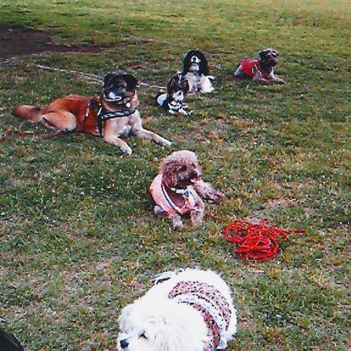 0ecf2074 ac32 433d 8256 d92033f5af6c 1716855784448