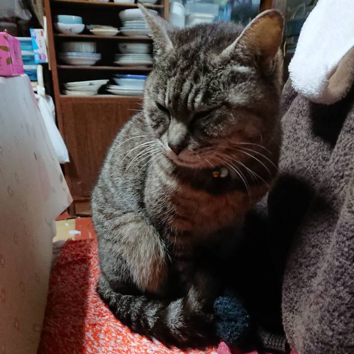 0ecf465e 9f87 4f94 8113 ad932f258e63 1553203040981