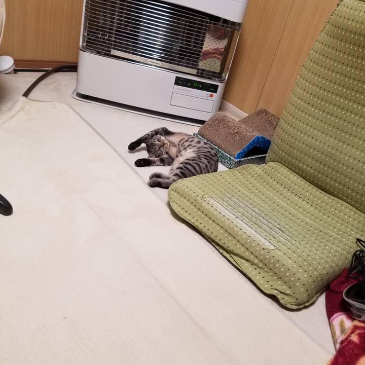 0ecfb518 7173 4558 8a85 135a030d57d8 1678877347091