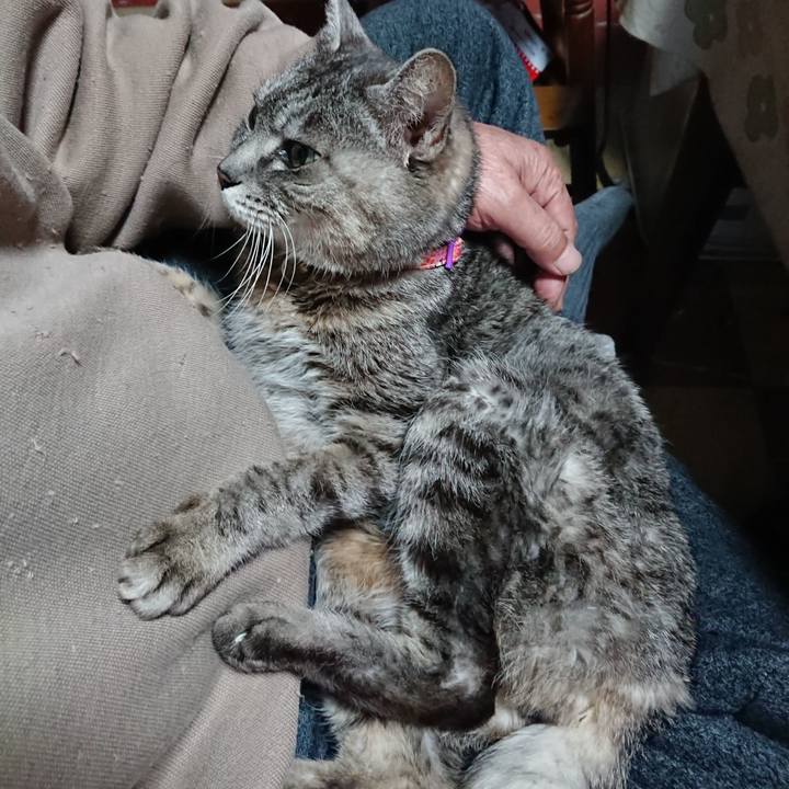 0ecfe0aa ca82 4605 b653 3496ac505ba4 1581408436391