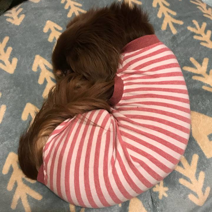 0ecff23e a14e 47e5 aa0b 3d88216c8524 1521451247201