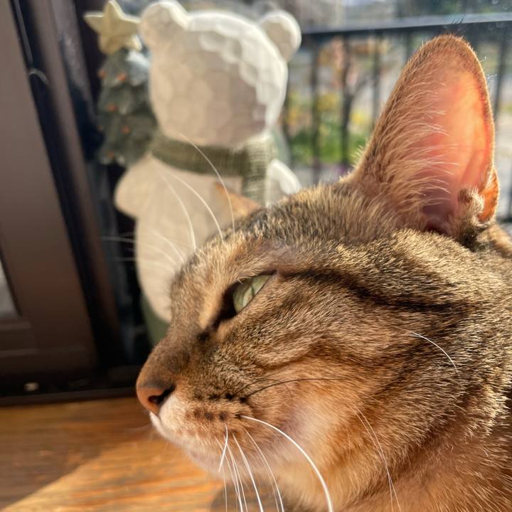 0ed038ee 8f87 4b40 aa31 7b6b2eecbc82 1701044875049