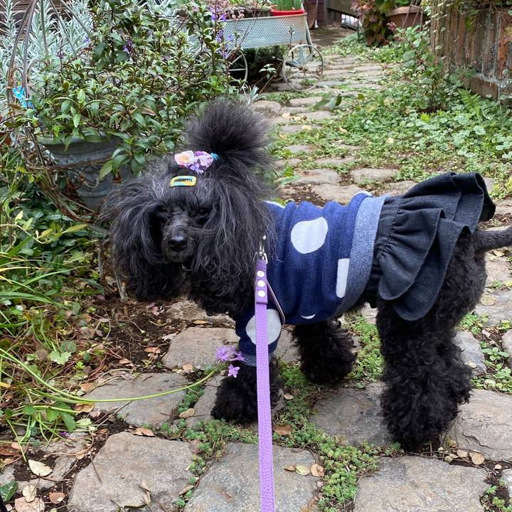 0ed0515f 4bd6 4241 879b dd69f095239e 1666673017246