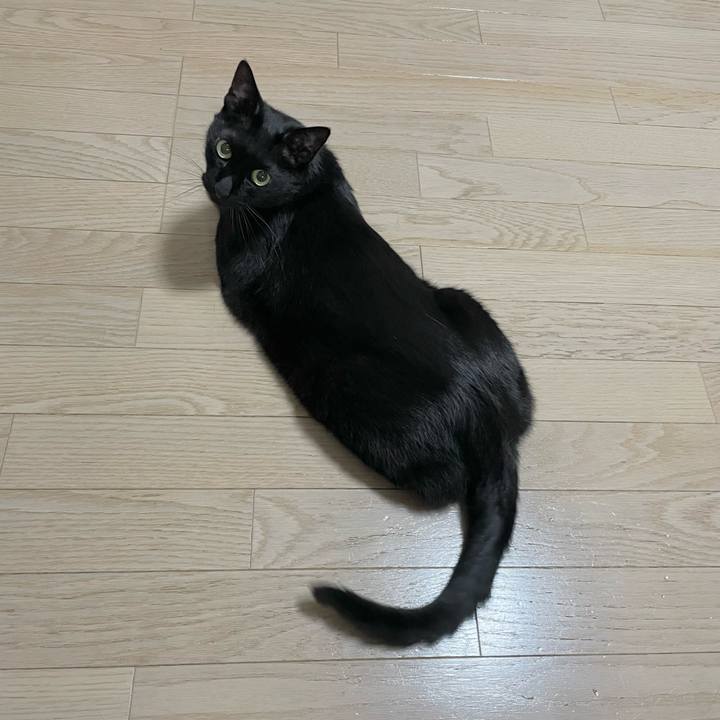 0ed054ad 8cd7 422c 9b76 f255103d8495 1655992844366