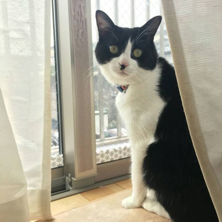 0ed07091 337c 47da 9252 646a66961684 1514978448238