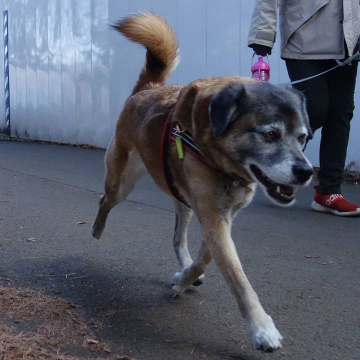 0ed07ada 3cdd 4444 a95d 6d2b03ece138 1550366341580