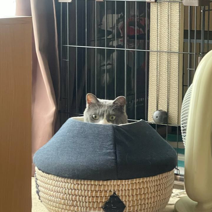 0ed08509 9fd6 4d26 ae83 a61b198ba213 1748823032716