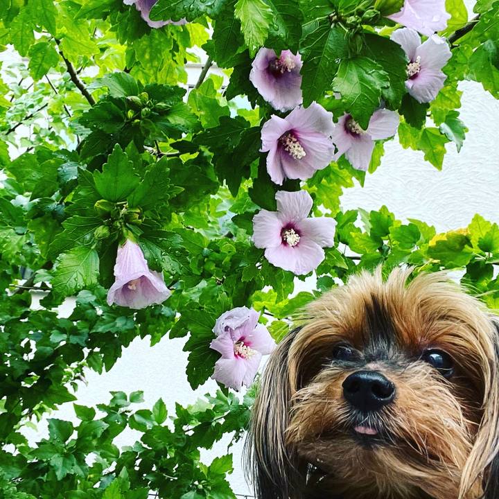 0ed08642 6f47 4279 879b 8f929e8861ff 1660611310381