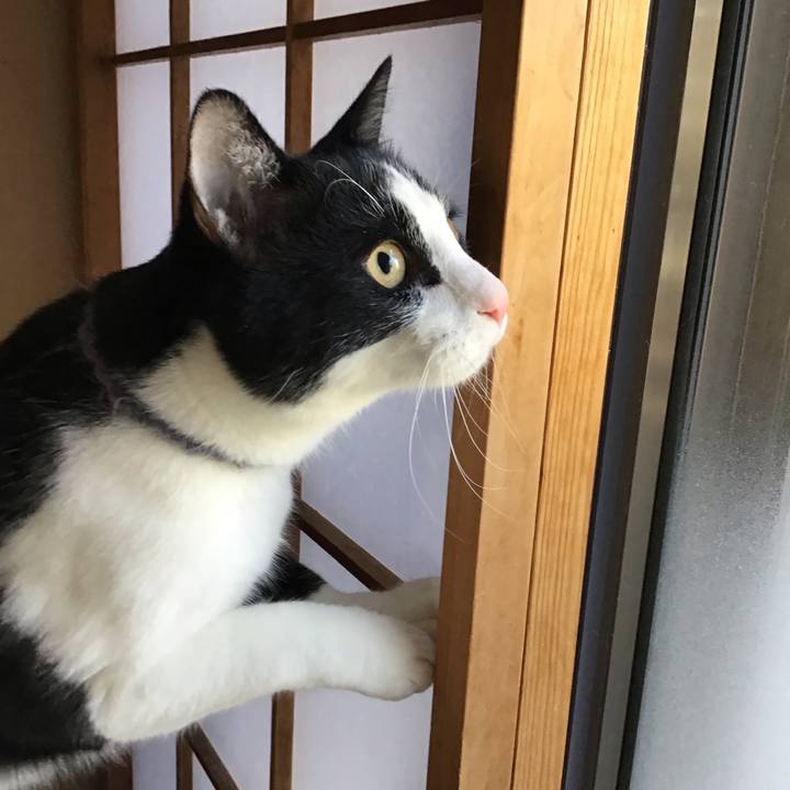 0ed0950c f3e5 4766 a1ae 0ca8beb8514b 1644139012149