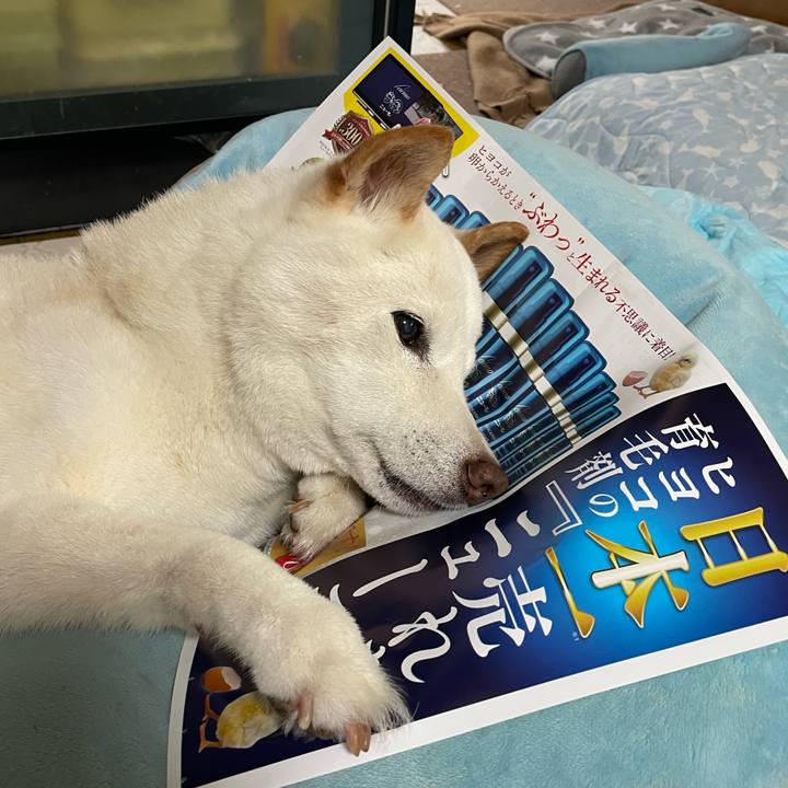 0ed09c96 596f 49df 9f45 18cf237d207a 1653315966680