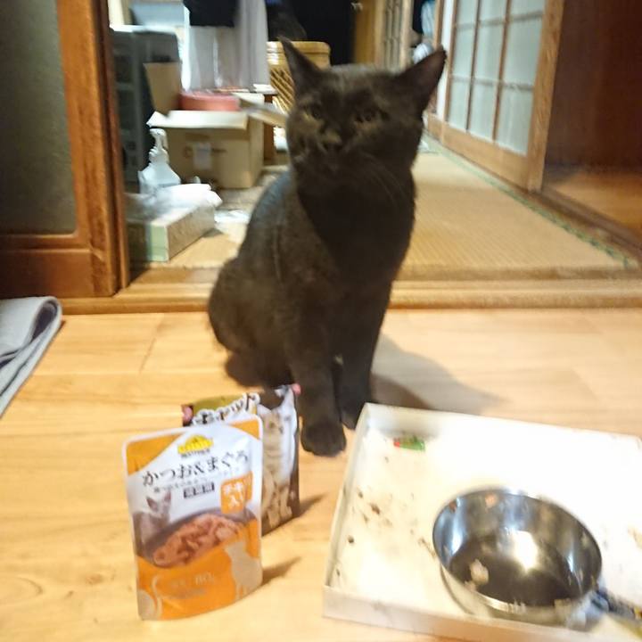 0ed0d8e5 af52 4d6c 9288 9512e0b7a007 1627910900261