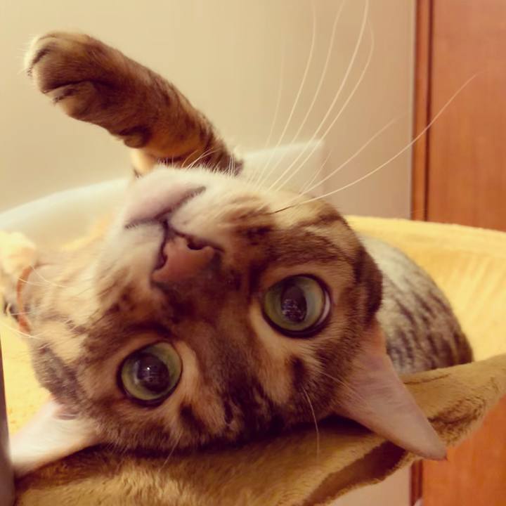 0ed102a6 85bc 46ac 90a8 17d3adf8ed58 1584569365655